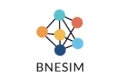 BNSIM Logo